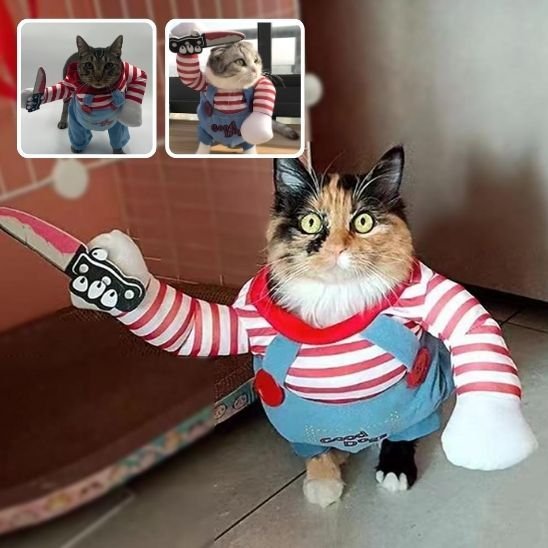 Déguisement pour chat | Adorable - Mondechat