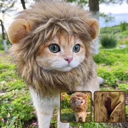 Déguisement pour chat