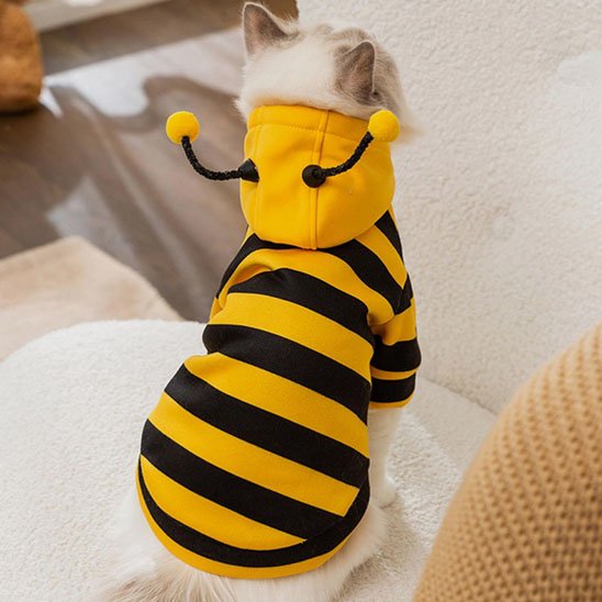 Déguisement pour Chat
