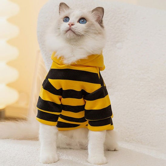 Déguisement pour Chat