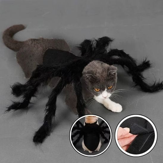 Déguisement pour chat