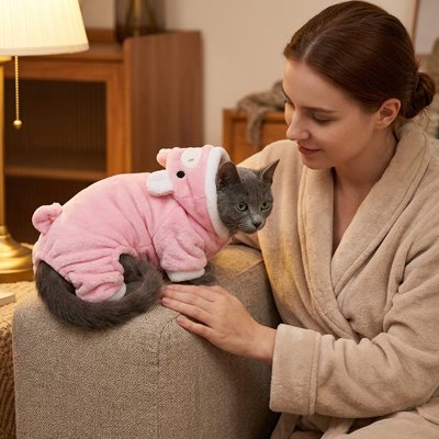 Déguisement pour Chat
