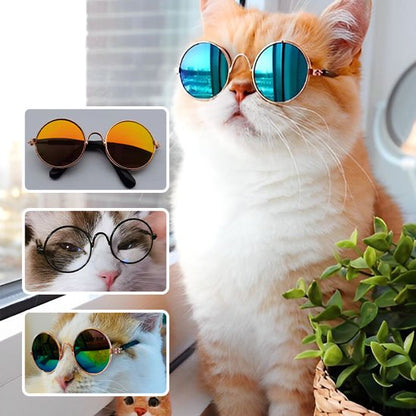 Déguisement pour chat