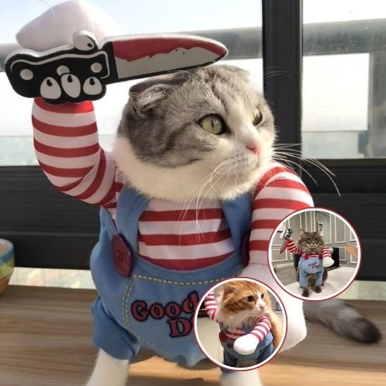 Déguisement pour chat