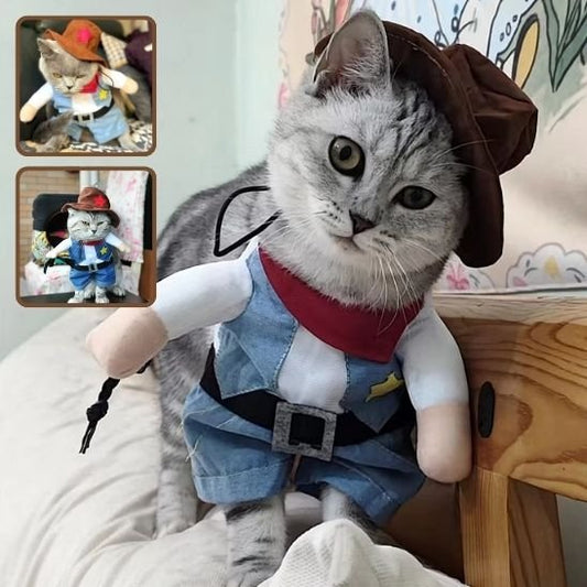 Déguisement pour chat