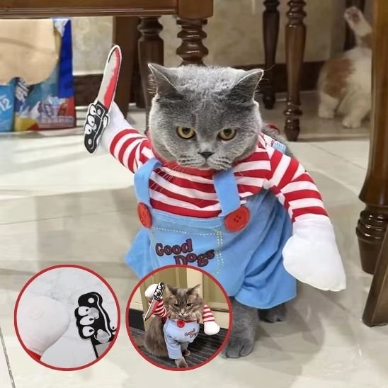 Déguisement pour chat