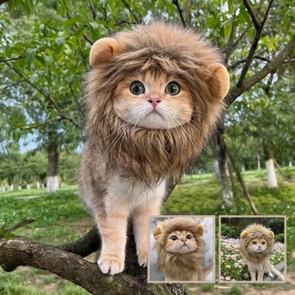 Déguisement pour chat