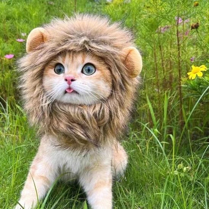 Déguisement pour chat