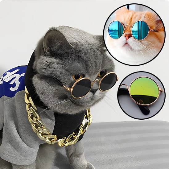 Déguisement pour chat