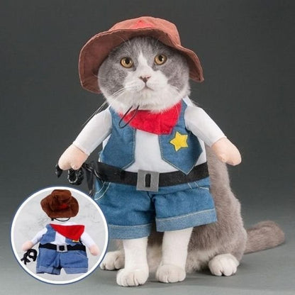 Déguisement pour chat