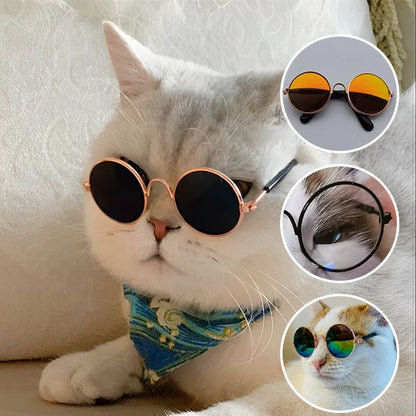 Déguisement pour chat