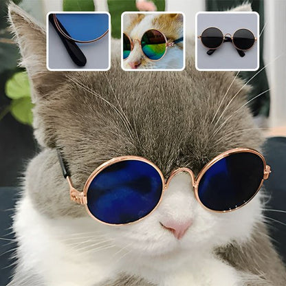 Déguisement pour chat