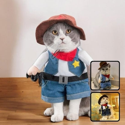 Déguisement pour chat