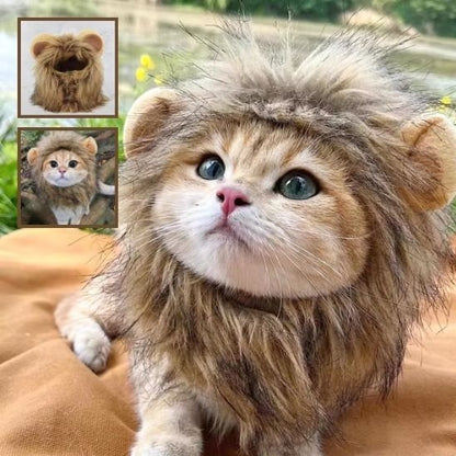 Déguisement pour chat