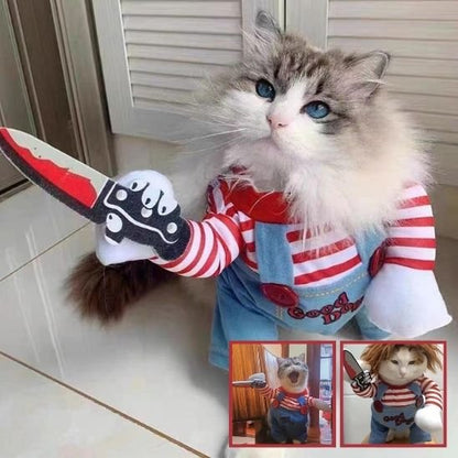 Déguisement pour chat