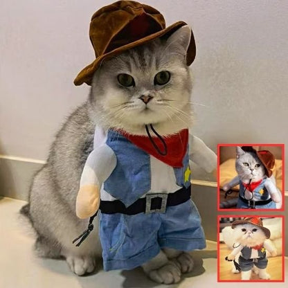 Déguisement pour chat