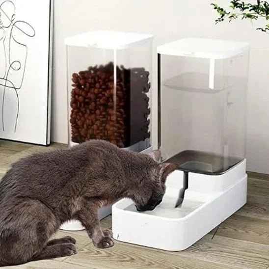 Distributeur automatique de croquettes pour chat | Solution pratique pour nourrir votre félin - Mondechat