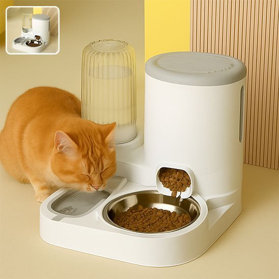 Distributeur de croquettes pour chat | AutoFeed - Mondechat