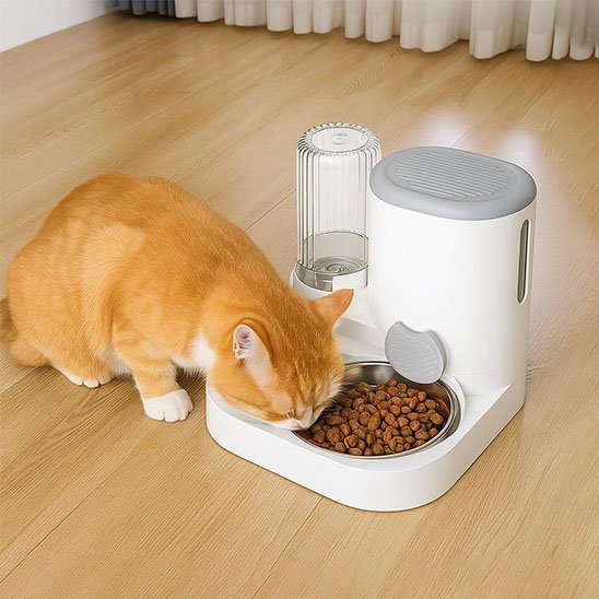 Distributeur de croquettes pour chat | Automatique - Mondechat