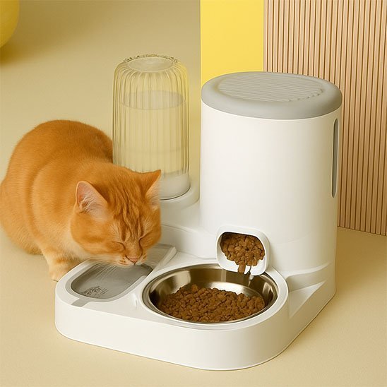 Distributeur de croquettes pour chat | Automatique - Mondechat