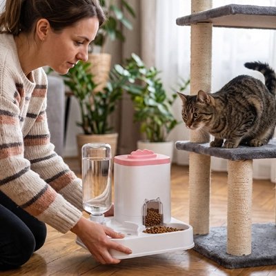 Distributeur de croquettes pour Chat | Automatique - Mondechat