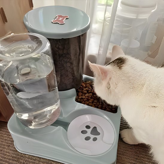 Distributeur de croquettes pour chat | FeliFeed - Mondechat