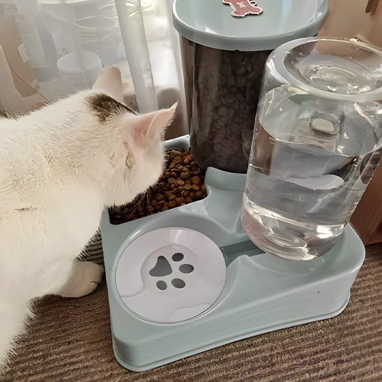 Distributeur de croquettes pour chat | FeliFeed - Mondechat