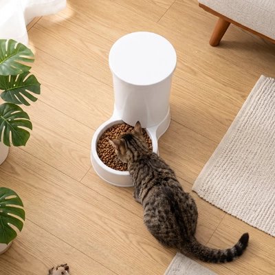Distributeur de croquettes pour Chat
