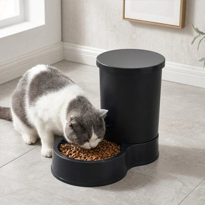 Distributeur de croquettes pour Chat
