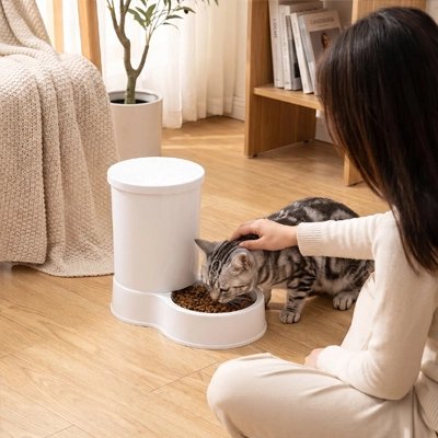Distributeur de croquettes pour Chat