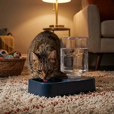 Distributeur eau pour chat | Automatique Fraîcheur - Mondechat
