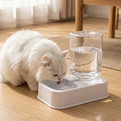 Distributeur eau pour chat | Automatique Fraîcheur - Mondechat