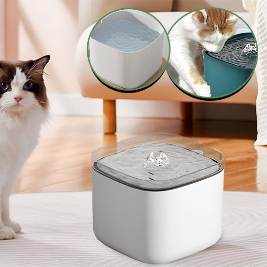 Fontaine à eau chat | FraiChic - Mondechat