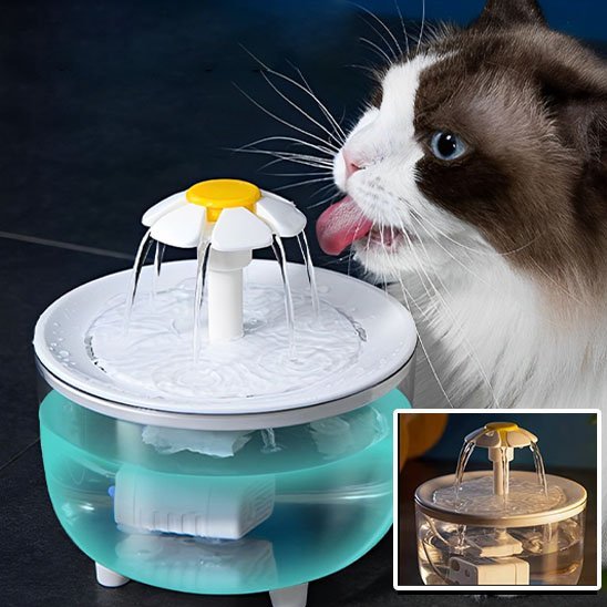 Fontaine à eau chat | FreshFlow - Mondechat