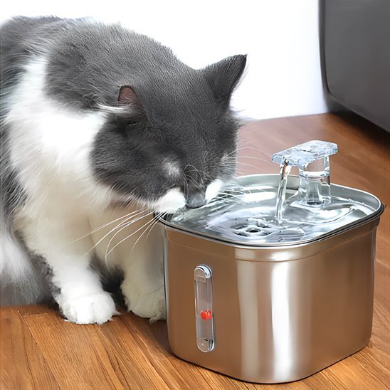 Fontaine a eau chat | Silencieuse Filtrante Argent - Mondechat