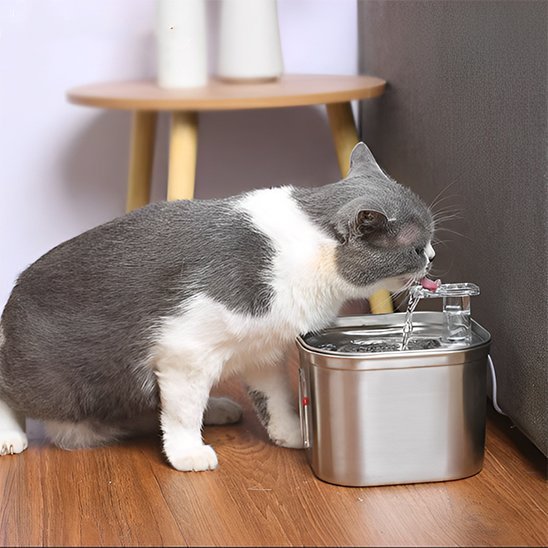Fontaine a eau chat | Silencieuse Filtrante Argent - Mondechat