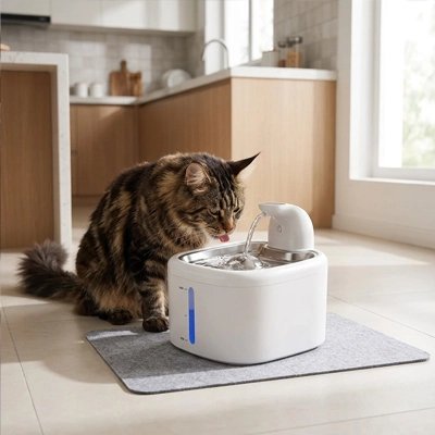 Fontaine a eau Chat | Silencieuse Filtrante Blanche + 4 filtres - Mondechat