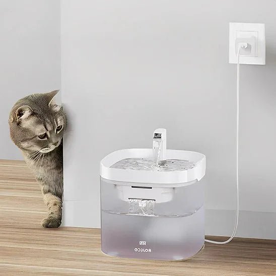 Fontaine à eau chat silencieuse pour une hydratation optimale - Mondechat