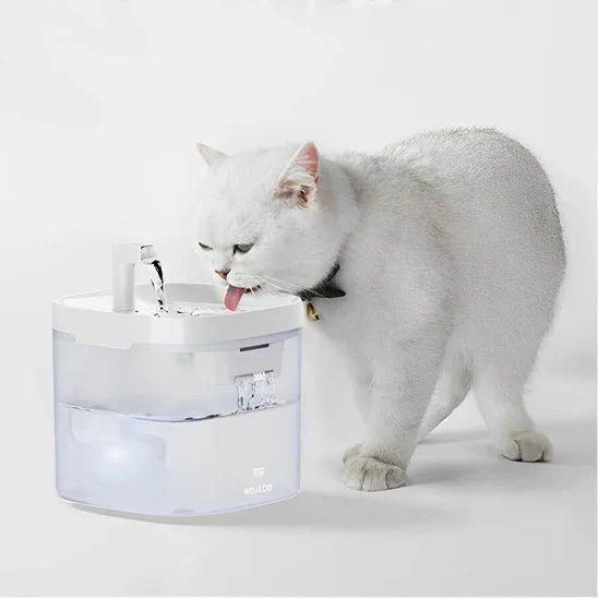 Fontaine à eau chat silencieuse pour une hydratation optimale - Mondechat