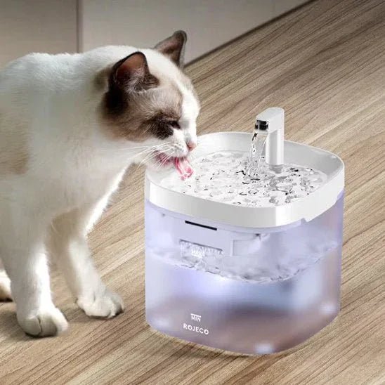 Fontaine à eau chat silencieuse pour une hydratation optimale - Mondechat
