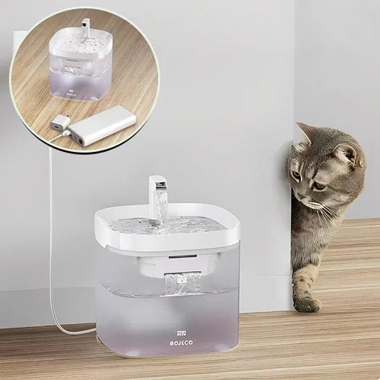 Fontaine à eau chat silencieuse pour une hydratation optimale - Mondechat