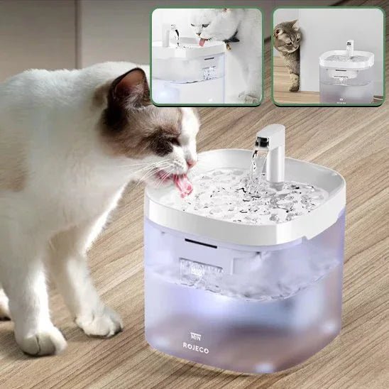 Fontaine à eau chat silencieuse pour une hydratation optimale - Mondechat