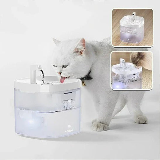 Fontaine à eau chat silencieuse pour une hydratation optimale - Mondechat