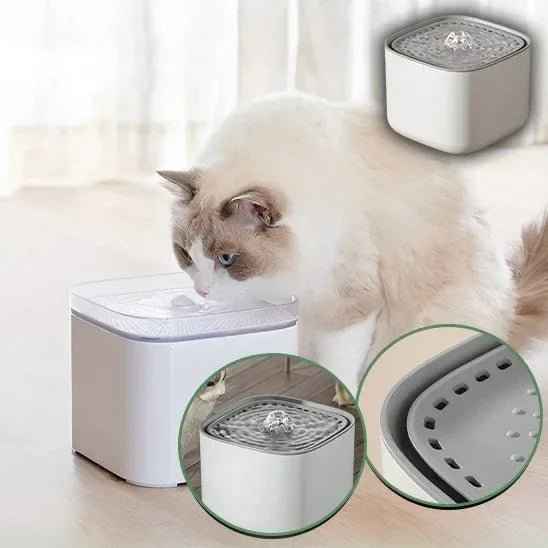 Fontaine à eau pour chat | FraiChic : Pour une hydratation optimale