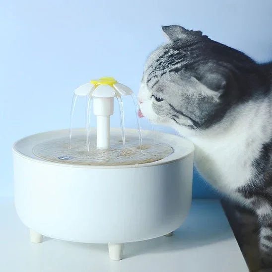 Fontaine à eau pour chat FreshFlow - Hydratez votre chat avec fraîcheur - Mondechat
