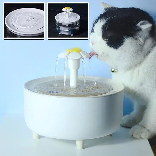 Fontaine à eau pour chat FreshFlow - Hydratez votre chat avec fraîcheur - Mondechat
