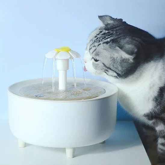 Fontaine à eau pour chat FreshFlow | Hydratez votre chat avec fraîcheur - Mondechat