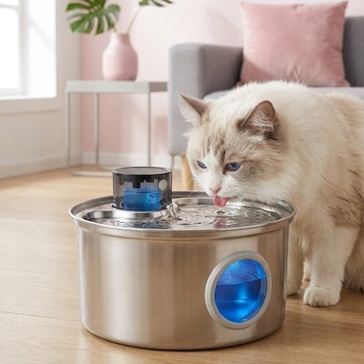 Fontaine à eau pour Chat | Hydratation Continue - Mondechat