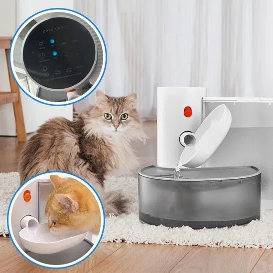Fontaine à eau pour chat HydroVital : Hydratation optimale pour votre félin - Mondechat