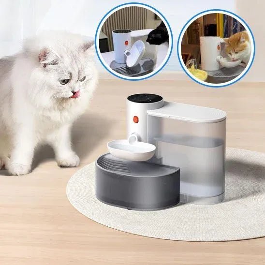 Fontaine à eau pour chat HydroVital : Hydratation optimale pour votre félin - Mondechat